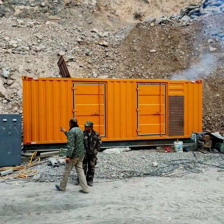 蒋湖农场如何降低 200kW 柴油发电机在高海拔地区的油耗？